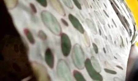De student liet haar mooie naakte lichaam zien. vlaamse seksfilms