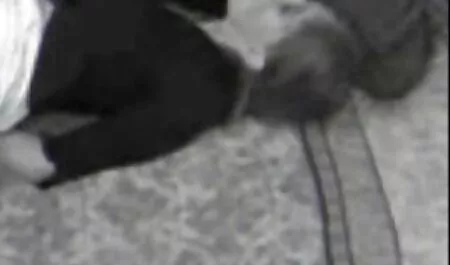 Na de hoed, ging de penis gratis amateur seksfilms in de kont.